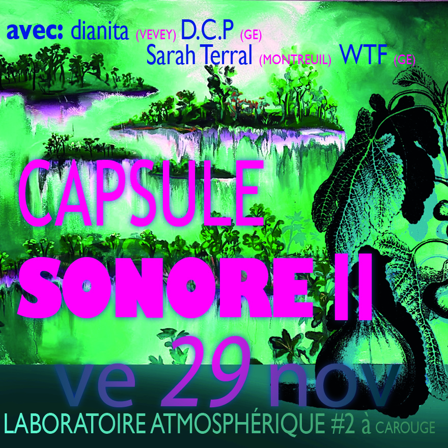29 nov CAPSULE SONORE II